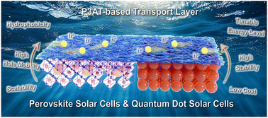 Graphical abstract: Beyond organic photovoltaics: unlocking the potential of P3HT and its derivatives in perovskite and quantum dot solar cells