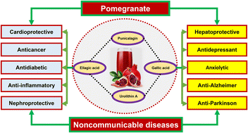 Graphical abstract: The therapeutic potential of pomegranate in the prevention and management of noncommunicable diseases