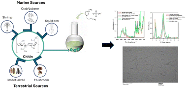 Graphical abstract: Chitin nanowhiskers from diverse biomasses: the role of feedstock in material properties