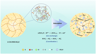 Graphical abstract: Synergistic strengthening of ion-exchange resins by post-crosslinking and selective sulfonation for PGMEA purification