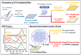 Graphical abstract: Super-rapid bacterial inactivation by Cu3+-ion-dominant films formed via UV irradiation of Cu2+ complex precursor films with amine ligands