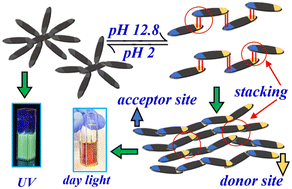 Graphical abstract: Multi-emissive graphene oxide quantum dots with remarkable pH-responsive long-wavelength emission