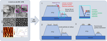 Graphical abstract: Role of polycrystalline F–SnO2 substrate topography in formation mechanism and morphology of Pt nanoparticles by solid-state-dewetting