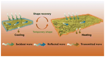Graphical abstract: Shape memory composite membrane with widely programmable electromagnetic shielding effectiveness