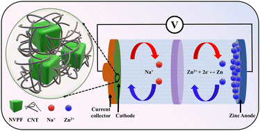 Graphical abstract: A carbon nanotube wrapped Na3V2(PO4)2F3 cathode with a dual cation electrolyte: enhancing high-voltage stability and cyclability in zinc-ion batteries