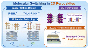Graphical abstract: Spacer cations: molecular switches for 2D and 2D/3D perovskite photovoltaics