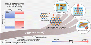 Graphical abstract: Counter-doping in two-dimensional transition-metal dichalcogenides: flipping native polarity and beyond