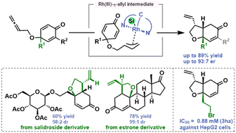 Graphical abstract: Rhodium(iii)-catalyzed asymmetric allylic cyclization of cyclohexadienone-tethered allenes