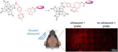 Graphical abstract: Tetrazine-trans-cyclooctene ligated lanthanide conjugates for biomedical imaging