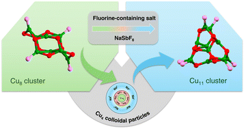 Graphical abstract: Fluorine-containing counterions as catalysts triggering the size transformation of copper nanoclusters