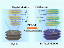 Graphical abstract: Interlayer engineering-induced charge redistribution in Bi2Te3 toward efficient Zn2+ and NH4+ storage