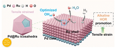 Graphical abstract: Understanding the strain effect in alkaline hydrogen oxidation reaction over well-defined Ru surfaces: insights into catalyst design