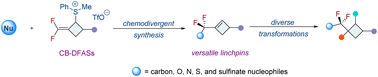 Graphical abstract: Difluoromethylene cyclobutyl sulfonium salts: versatile reagents for chemodivergent synthesis of difluoroalkylated cyclobutenes and cyclobutanes