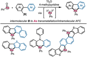 Graphical abstract: Synthesis of dibenzoarsole derivatives from biarylborates via the twofold formation of C–As bonds using arsenium dication equivalents
