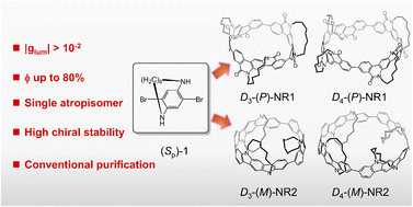 Graphical abstract: Chiral tether-guided selective synthesis of Dn-symmetric chiral conjugated nanorings