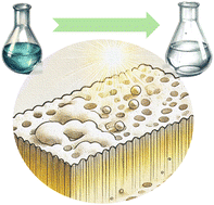 Graphical abstract: Multifunctional poly(ionic liquid)/graphitic carbon nitride membranes: visible light-driven photodegradation coupled with antifouling properties