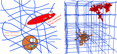 Graphical abstract: Machine learning of the anomalous diffusion of branched polymers in crosslinked networks