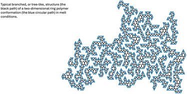 Graphical abstract: Ring polymers in two-dimensional melts double-fold around randomly branching “primitive shapes”