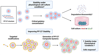 Graphical abstract: Thermoresponsive polymers for cell support: poloxamers as a case study of promise and challenge