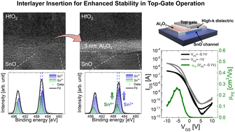 Graphical abstract: Stabilization of top-gate p-SnO transistors via ultrathin Al2O3 interlayers for hysteresis-free operation