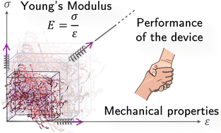 Graphical abstract: Assessing the influence of nanoscale morphology on the mechanical properties of semiconducting polymers