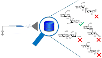 Graphical abstract: Differentiation of disaccharide isomers via diagnostic-ion-weighted spectral library searching using data from tandem MS analysis of chloride adducts