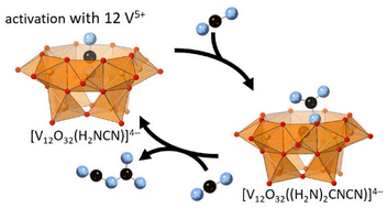 Graphical abstract: Supramolecular catalysis by the inside of a bowl-type dodecavanadate for cyanamide dimerization