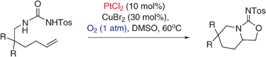 Graphical abstract: Platinum-catalysed aerobic 1,2-aminooxygenation of alkenes
