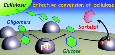 Graphical abstract: Synthesis of sugar alcohols by hydrolytic hydrogenation of cellulose over supported metal catalysts
