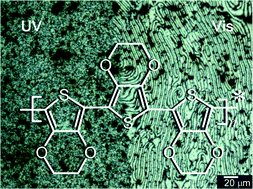 Graphical abstract: Light driven asymmetric polymerization: an approach for tele-control reaction