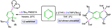 Graphical abstract: New lithium-zincate approaches for the selective functionalisation of pyrazine: direct dideprotozincation vs. nucleophilic alkylation