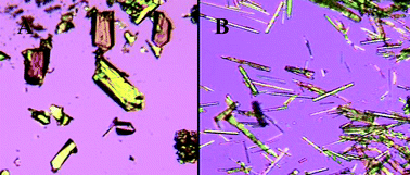 Graphical abstract: Structures and characterization of m-nisoldipine polymorphs