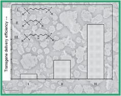 Graphical abstract: Designing pH-sensitive gemini nanoparticles for non-viral gene delivery into keratinocytes