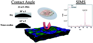 Graphical abstract: Targeted surface nanocomplexity: two-dimensional control over the composition, physical properties and anti-biofouling performance of hyperbranched fluoropolymer–poly(ethylene glycol) amphiphilic crosslinked networks