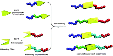 Graphical abstract: AB/ABC/ABCD supramolecular block copolymers from Hamilton wedge and barbiturate-functionalized RAFT agents