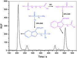 Graphical abstract: A sequential-injection reversed-phase chromatography method for fluorimetric determination of glyphosate and aminomethylphosphonic acid