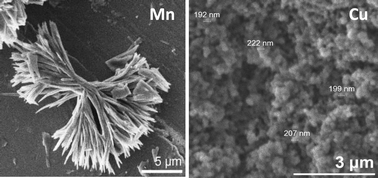 Graphical abstract: Manganese(ii) and copper(ii) nitrate bis-imidazole coordination polymers: dimensionality and product morphology