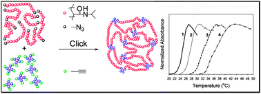 Graphical abstract: “Click” PNIPAAm hydrogels – a comprehensive study of structure and properties