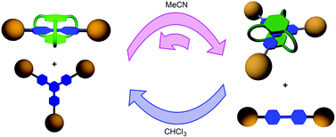 Graphical abstract: Solvent-driven selective π-cation templating in dynamic assembly of interlocked molecules