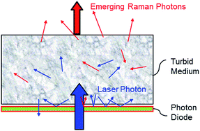 Graphical abstract: Development of Transmission Raman Spectroscopy towards the in line, high throughput and non-destructive quantitative analysis of pharmaceutical solid oral dose