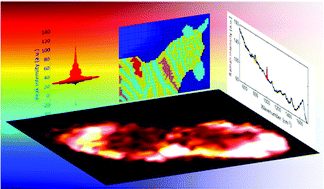 Graphical abstract: Making colourful sense of Raman images of single cells