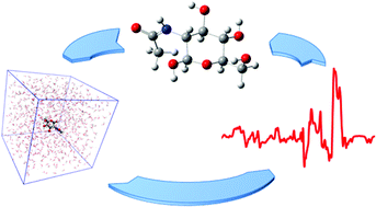 Graphical abstract: Calculation of Raman optical activity spectra for vibrational analysis