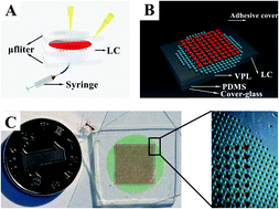 Graphical abstract: A localized temporary negative pressure assisted microfluidic device for detecting keratin 19 in A549 lung carcinoma cells with digital PCR