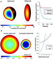 Graphical abstract: Media additives to promote spheroid circularity and compactness in hanging drop platform