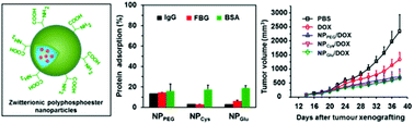 Graphical abstract: A block copolymer of zwitterionic polyphosphoester and polylactic acid for drug delivery