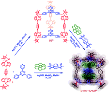 Graphical abstract: Coordination-driven self-assembly of an iridium-cornered prismatic cage and encapsulation of three heteroguests in its large cavity