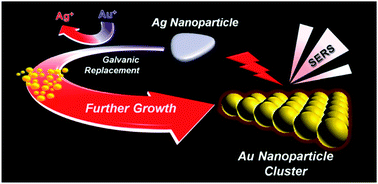 Graphical abstract: The controlled synthesis of plasmonic nanoparticle clusters as efficient surface-enhanced Raman scattering platforms