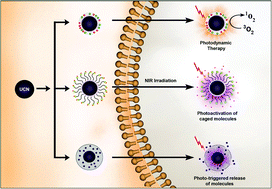 Graphical abstract: Upconversion nanoparticles as versatile light nanotransducers for photoactivation applications