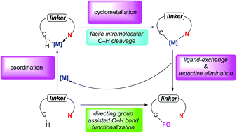 Graphical abstract: Recent advances in directed C–H functionalizations using monodentate nitrogen-based directing groups