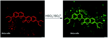 Graphical abstract: A real-time colorimetric and ratiometric fluorescent probe for rapid detection of SO2 derivatives in living cells based on a near-infrared benzopyrylium dye